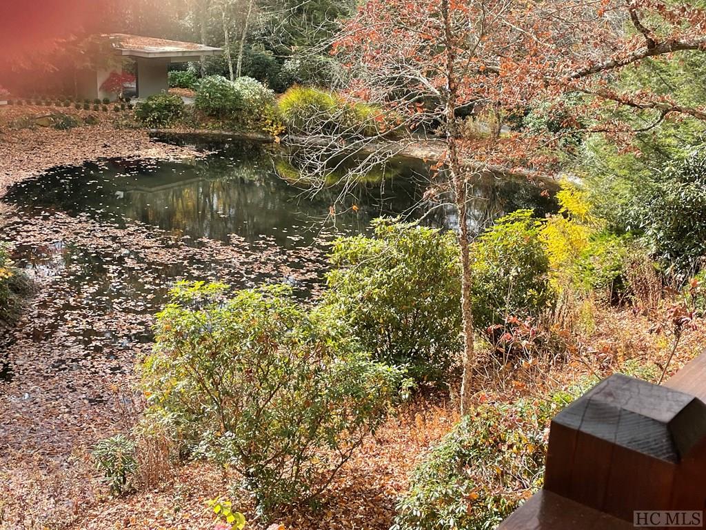 58 Woodland Falls Road Highlands, NC 28741 - Photo 7 of 7 Gallery Image 7