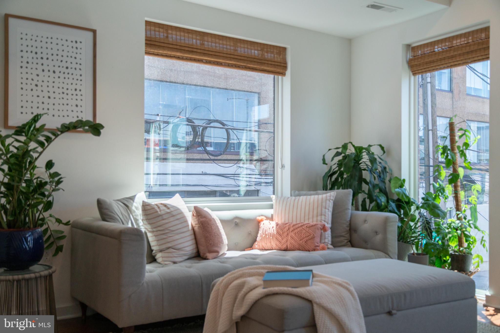 159 East Allen Street, Unit 1 Philadelphia, PA 19125 - Photo 8 of 45 a living room with a couch and a potted plant