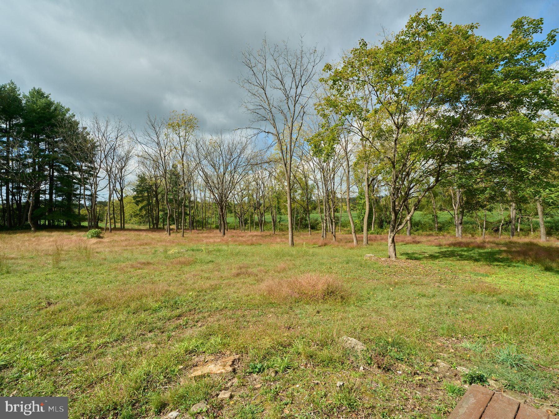 6321 Saw Mill Road Doylestown, PA 18933 - Photo 9 of 20 Gallery Image 9