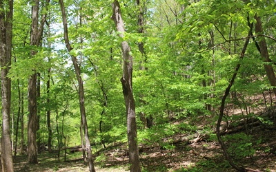 M26 Sleepy Hollow Road Ellijay, GA 30536 - Photo 17 of 20 Additional View
