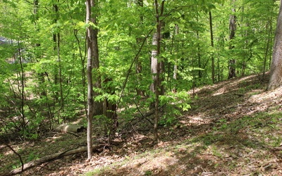 M26 Sleepy Hollow Road Ellijay, GA 30536 - Photo 5 of 20 Additional View