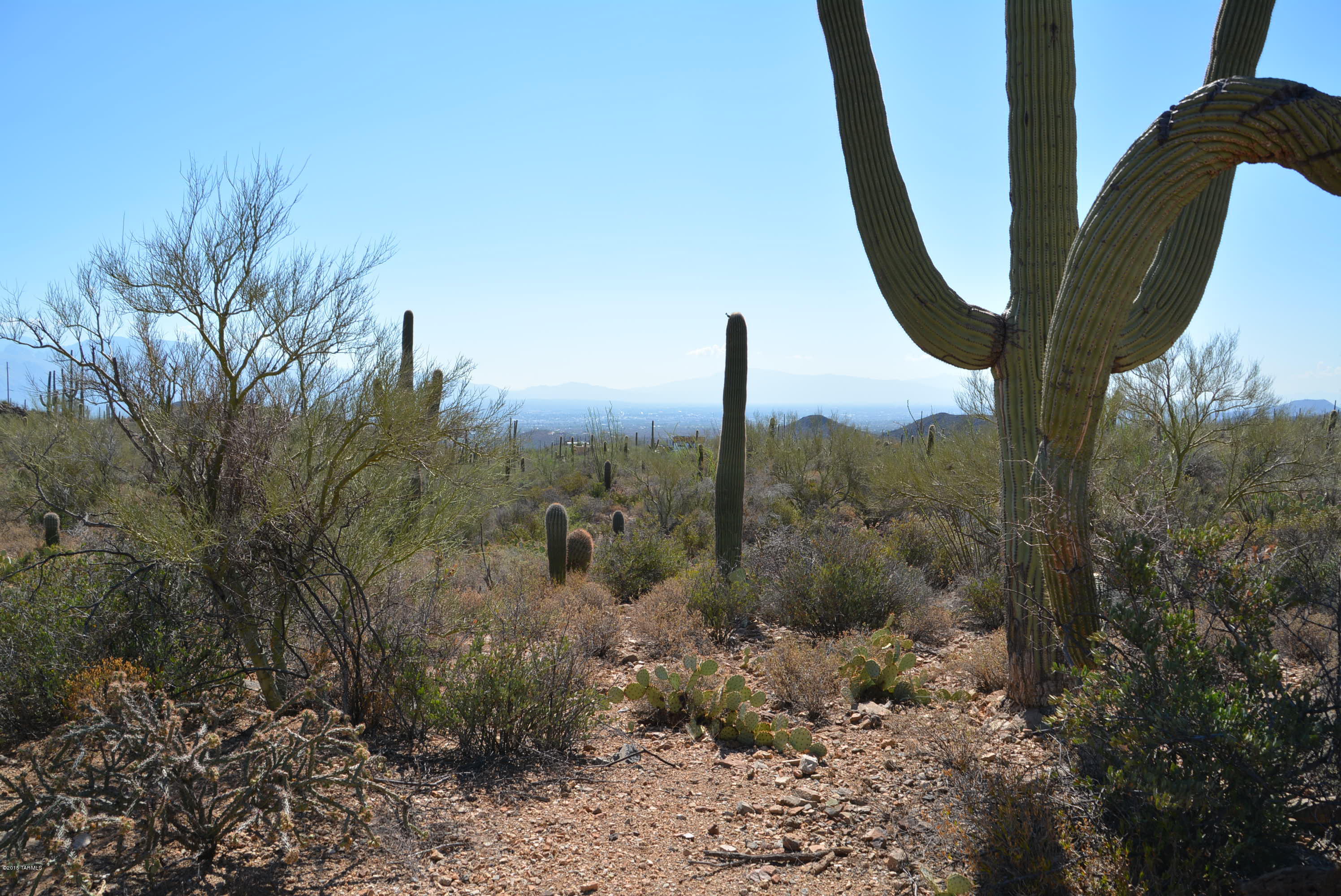0 Broken Spring Tucson, AZ 85745 - Photo 5 of 24