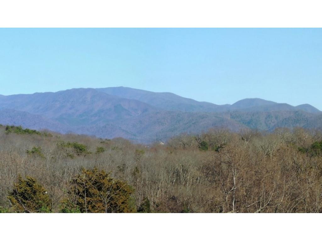 0 Garrett Hill Road Greeneville, TN 37743 - Photo 1 of 1 Photo 1