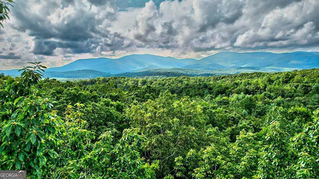 28.82 Mt Mcgruder Road Ellijay, GA 30536 - Photo 1 of 1