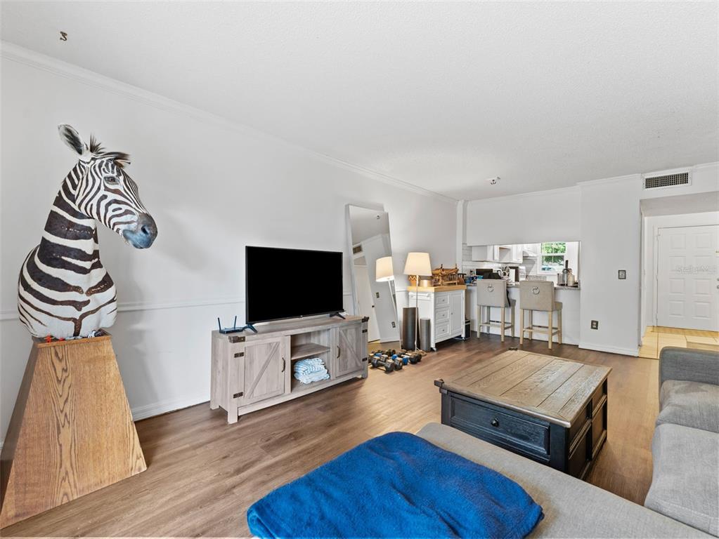 4507 South Oak Drive, Unit P41 Tampa, FL 33611 - Photo 9 of 27