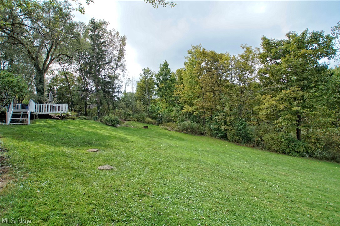 12866 Sperry Road Chesterland, OH 44026 - Photo 31 of 33 Just enough cleared out space for backyard use. Both front and back have invisible fencing.