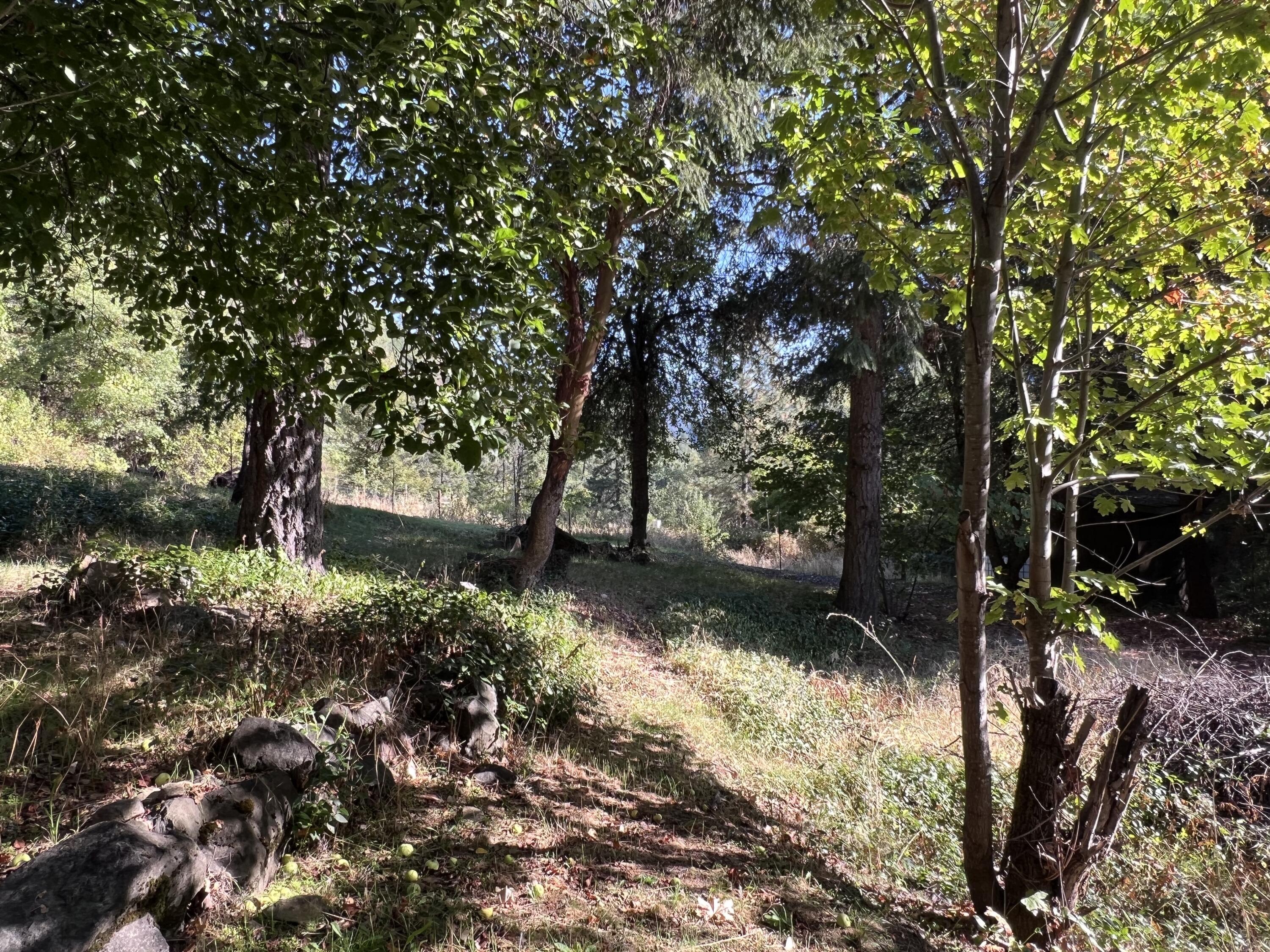 18191 Denny Road Burnt Ranch, CA 95527 - Photo 54 of 79