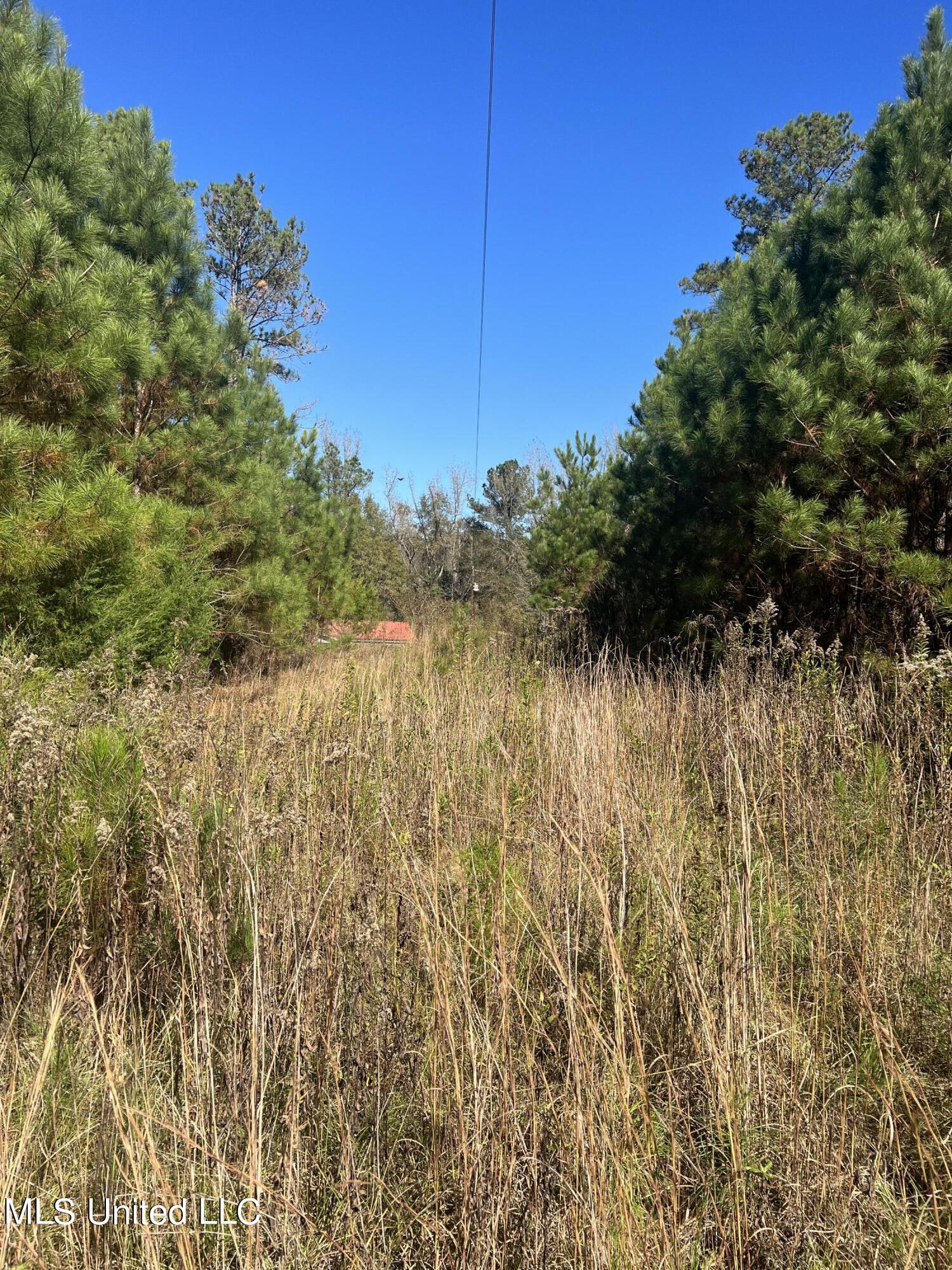 0 Corinth Road Carthage, MS 39051 - Photo 15 of 27 IMG_8549