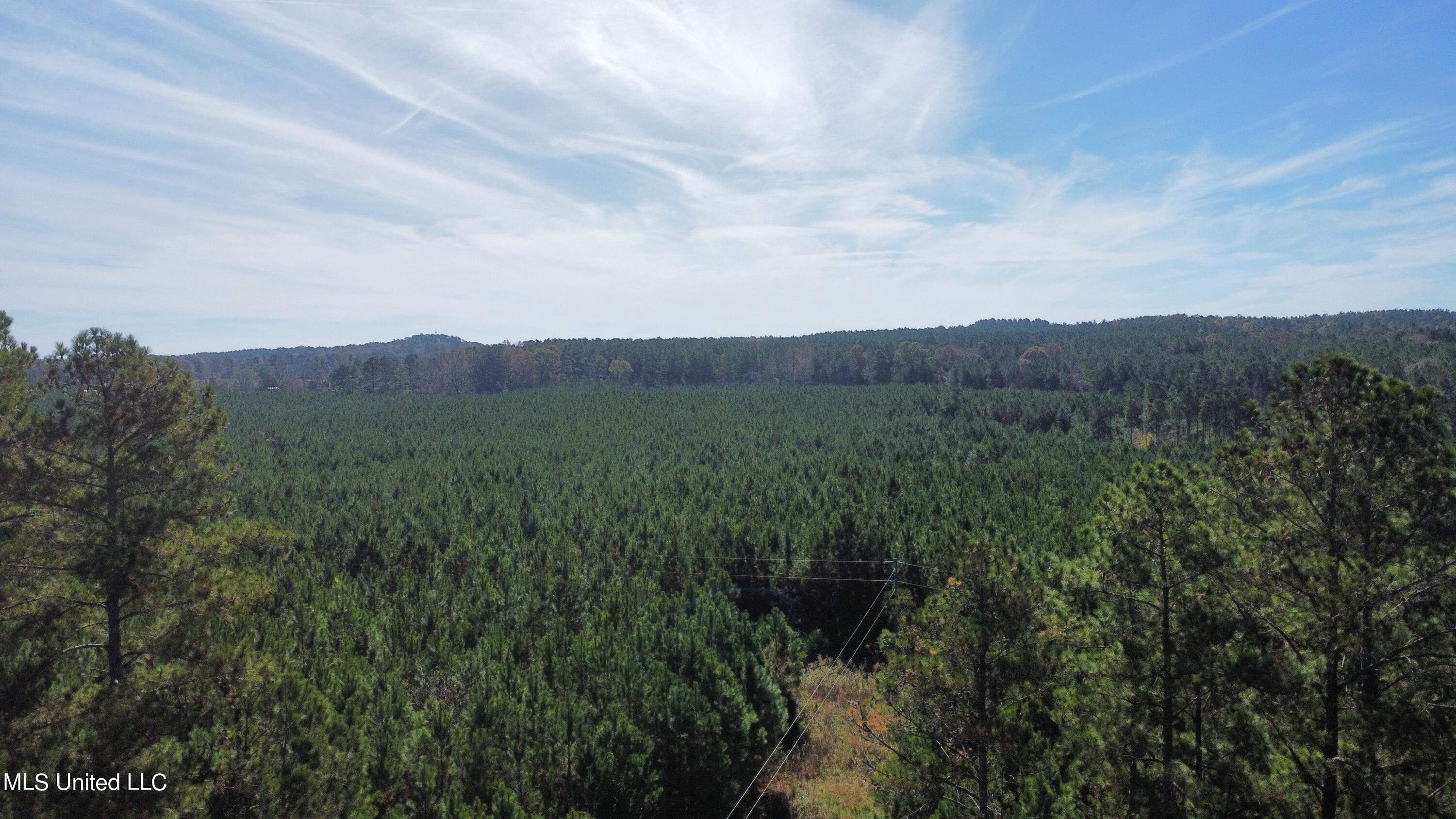 0 Corinth Road Carthage, MS 39051 - Photo 3 of 27 dji_fly_20221109_112224_321_166801455335
