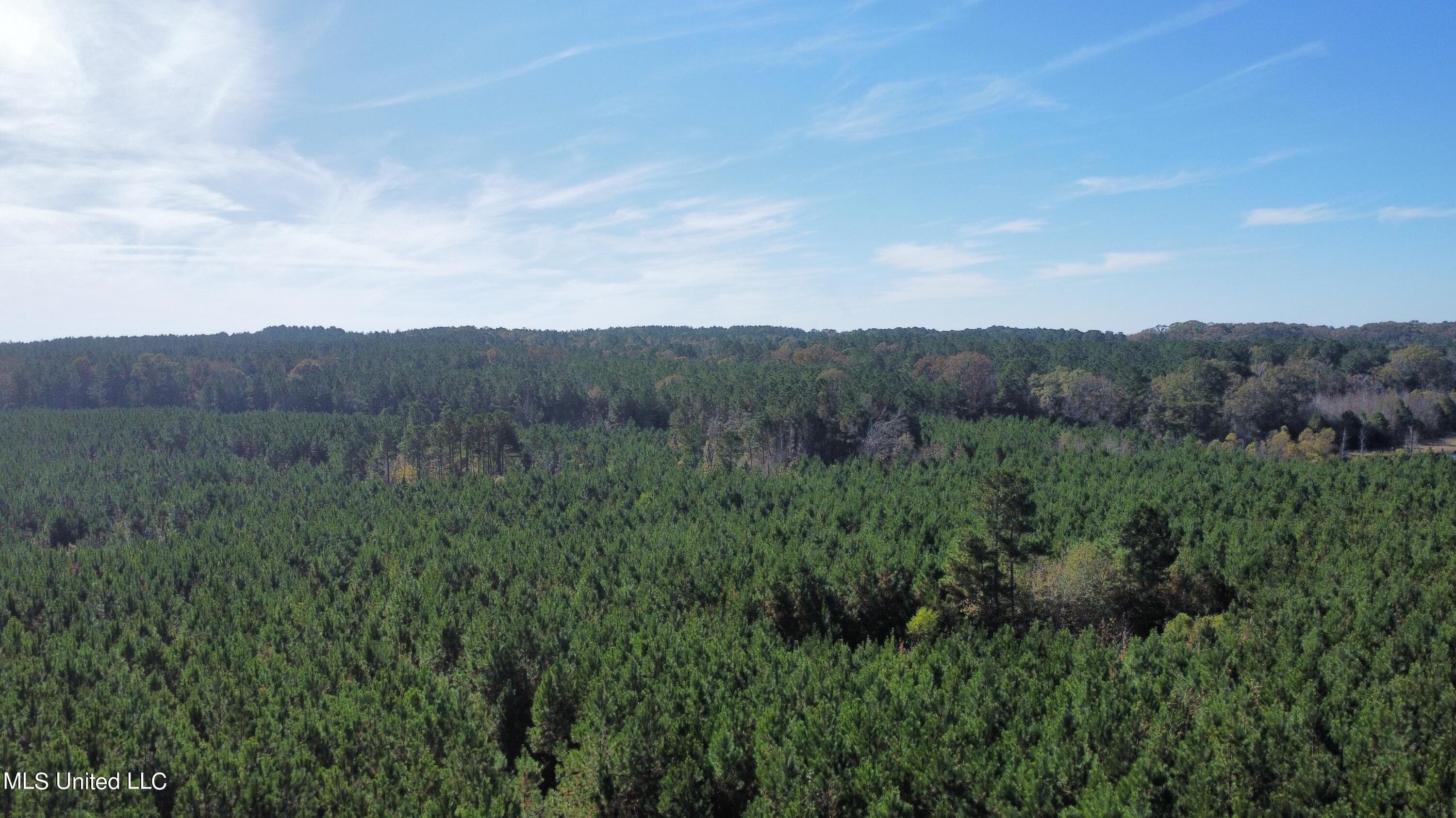 0 Corinth Road Carthage, MS 39051 - Photo 4 of 27 dji_fly_20221109_112246_322_166801457462