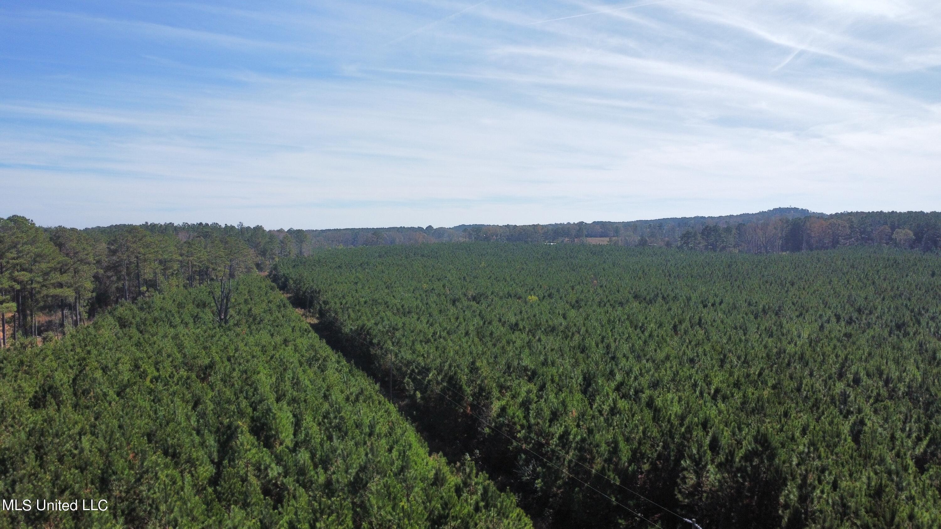 0 Corinth Road Carthage, MS 39051 - Photo 5 of 27 dji_fly_20221109_112254_323_166801458325