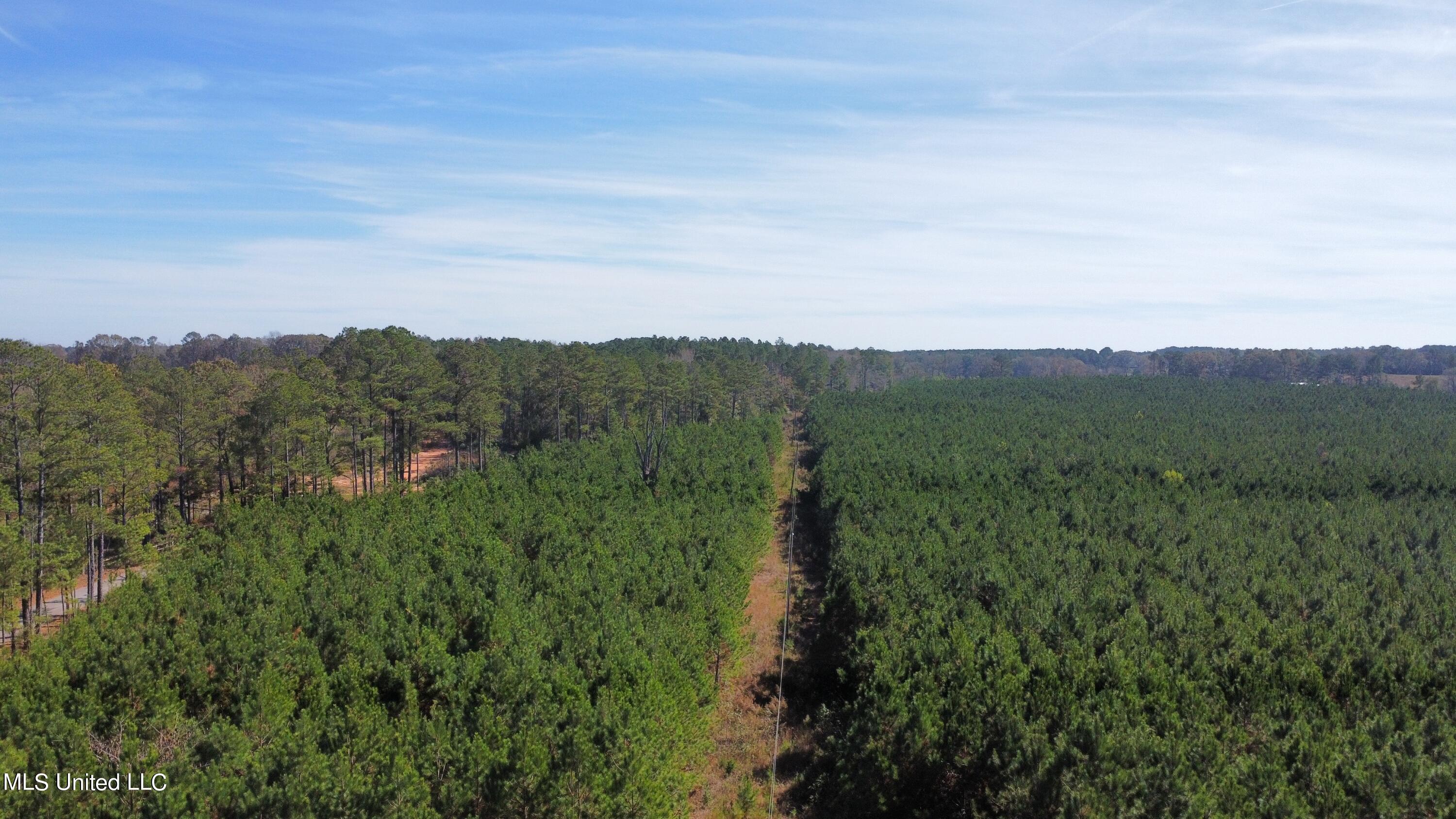 0 Corinth Road Carthage, MS 39051 - Photo 6 of 27 dji_fly_20221109_112300_324_166801458901
