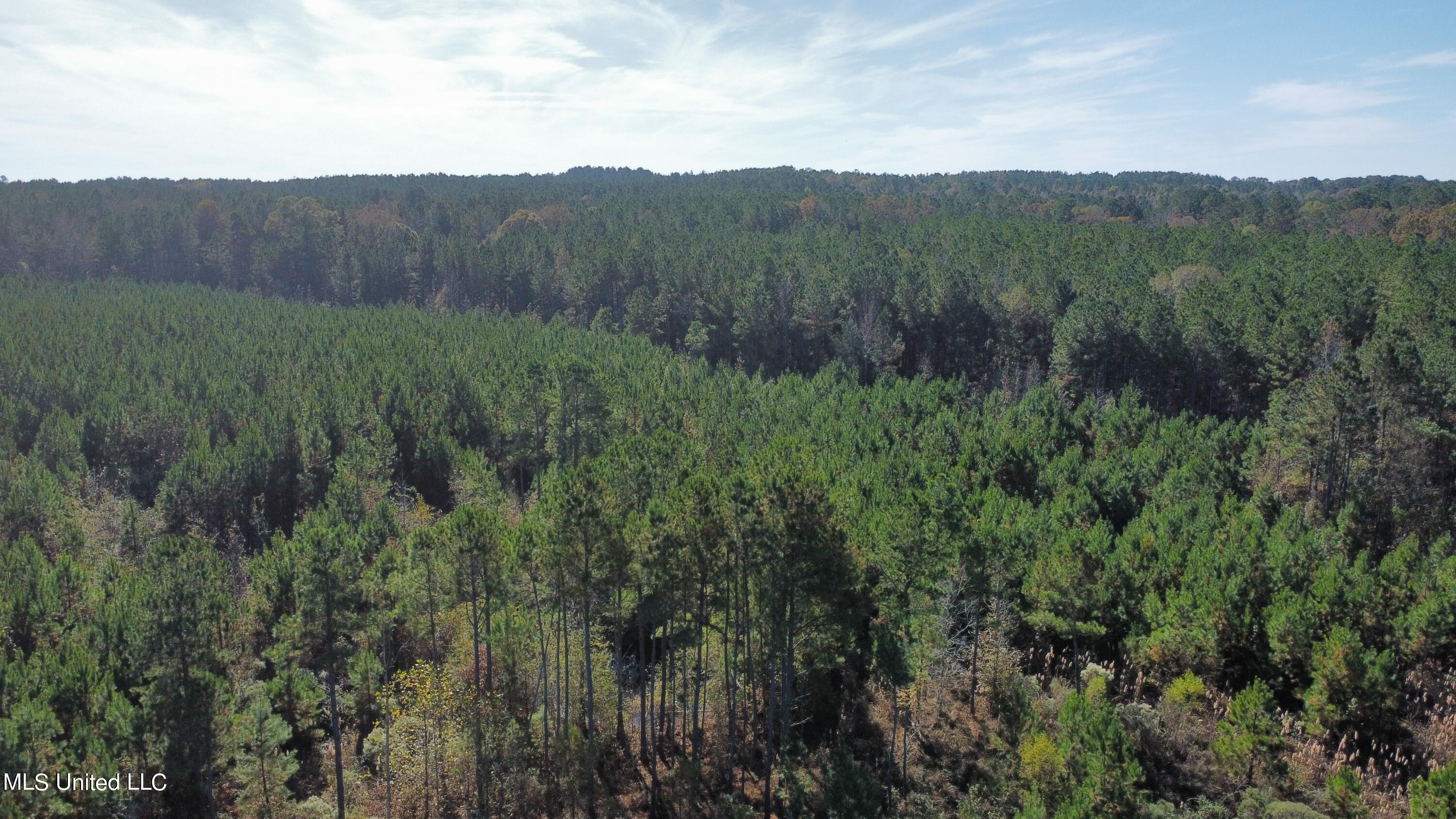 0 Corinth Road Carthage, MS 39051 - Photo 7 of 27 dji_fly_20221109_112326_325_166801461919