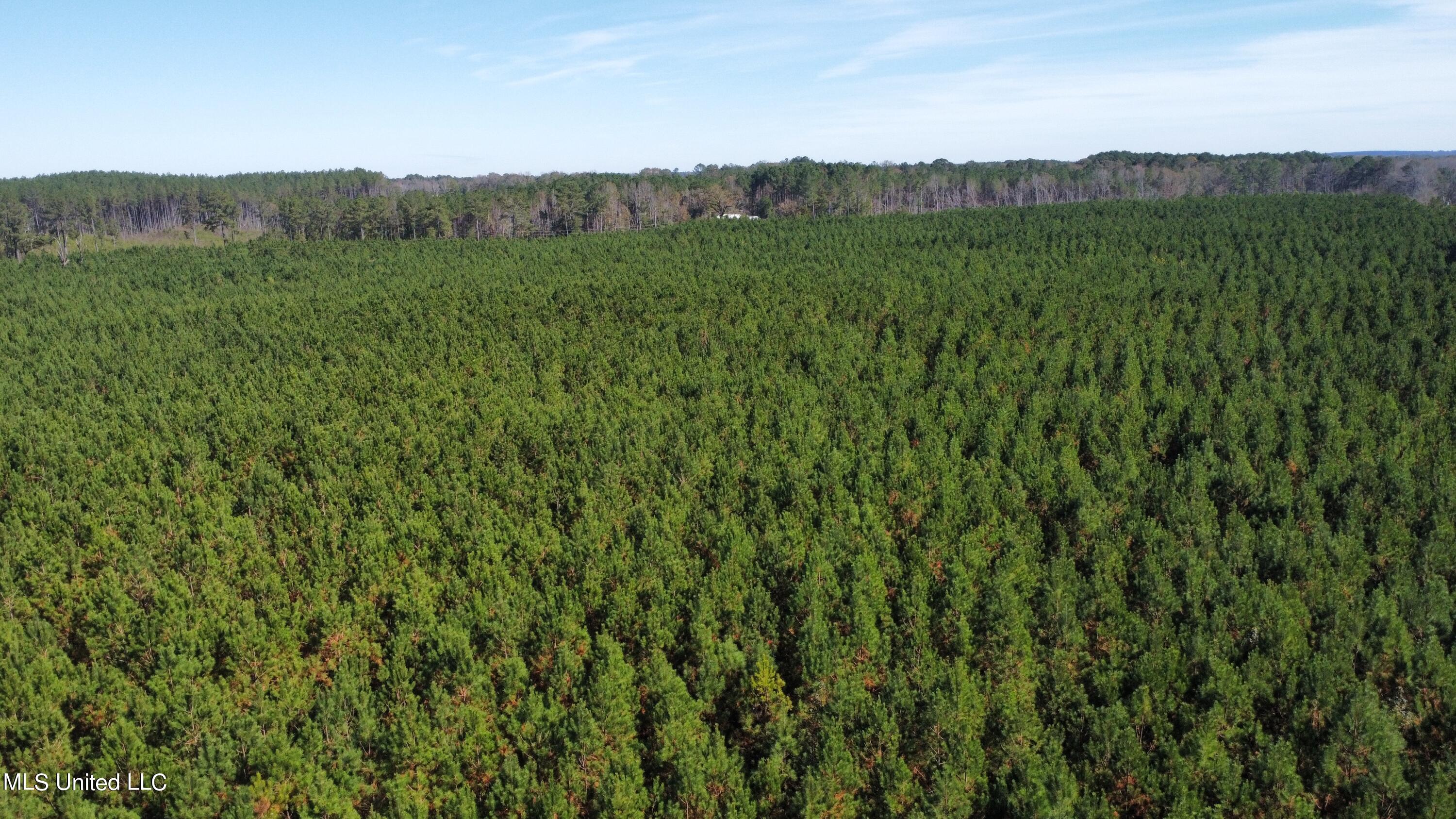 0 Corinth Road Carthage, MS 39051 - Photo 8 of 27 dji_fly_20221109_112518_326_166801473014