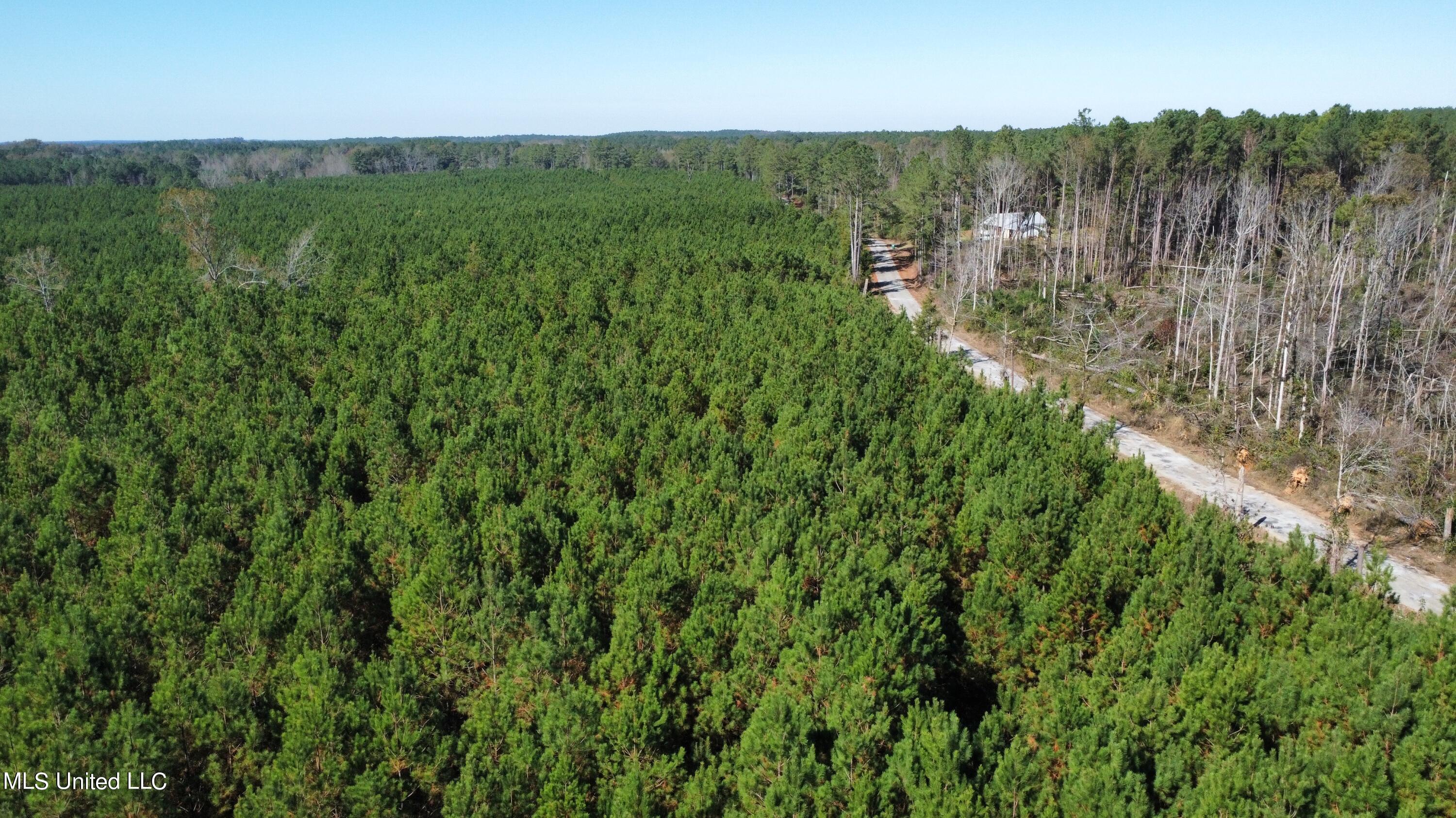 0 Corinth Road Carthage, MS 39051 - Photo 9 of 27 dji_fly_20221109_112738_331_166801491510