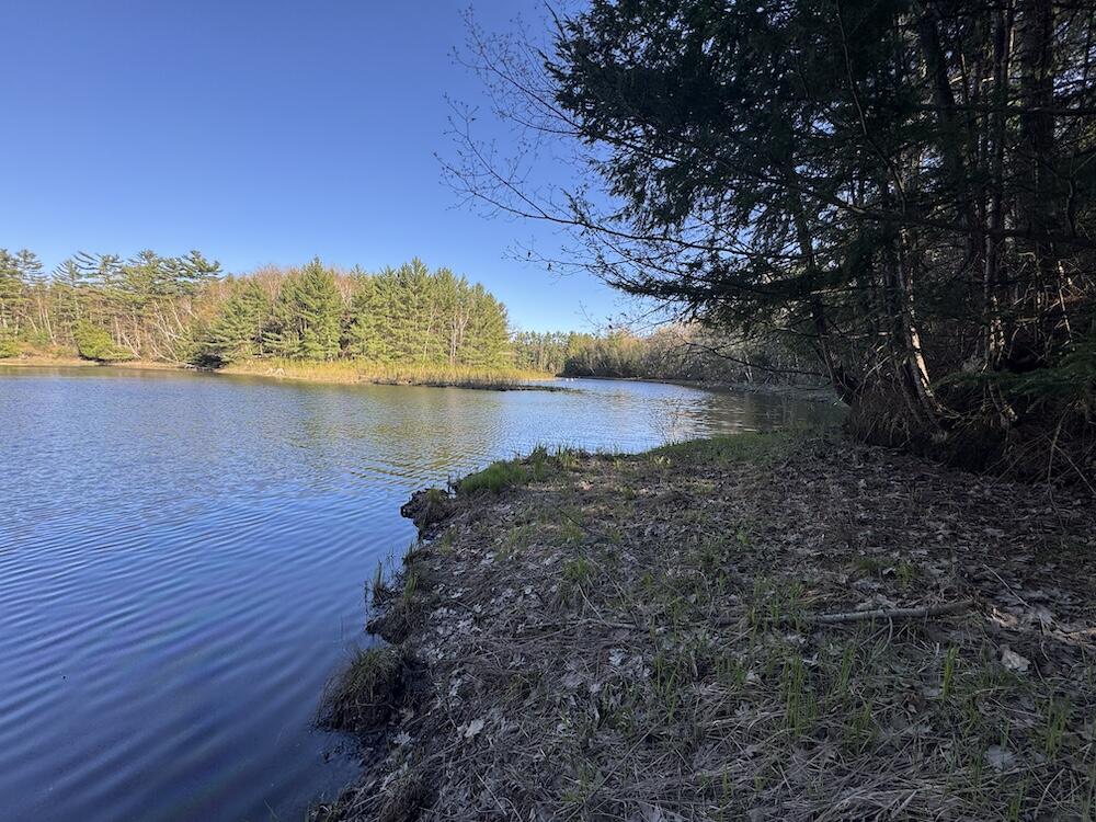 Lot 9 V/l Wildwood Road Alger, MI 48610 - Photo 21 of 40 IMG_2771