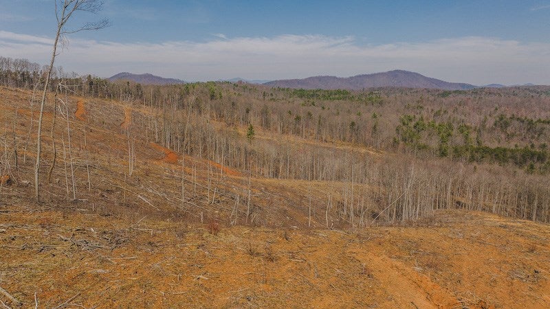 Tbd Timber Line Road Ferrum, VA 24088 - Photo 25 of 28 Gallery Image 25