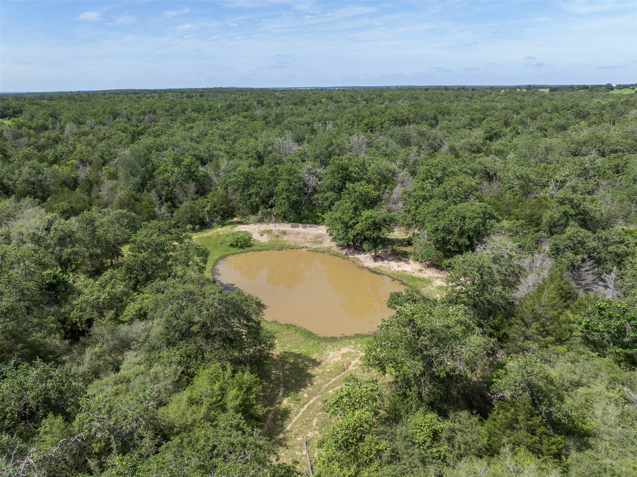 459 County Road 459 Road Thorndale, TX 76577 - Photo 28 of 35 a view of outdoor space and yard