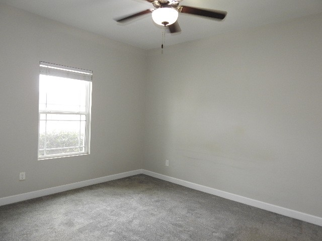 4719 Compassion Lane Murfreesboro, TN 37128 - Photo 12 of 20