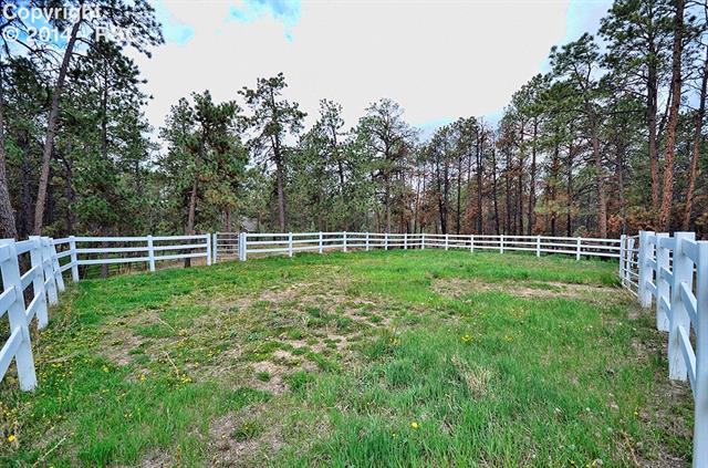 7955 Juniper Road Colorado Springs, CO 80908 - Photo 6 of 25 Gallery Image 6
