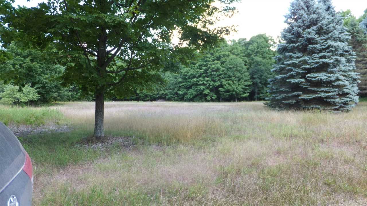3161 Long Road Thompsonville, MI 49683 - Photo 30 of 30 1821970-29.JPG