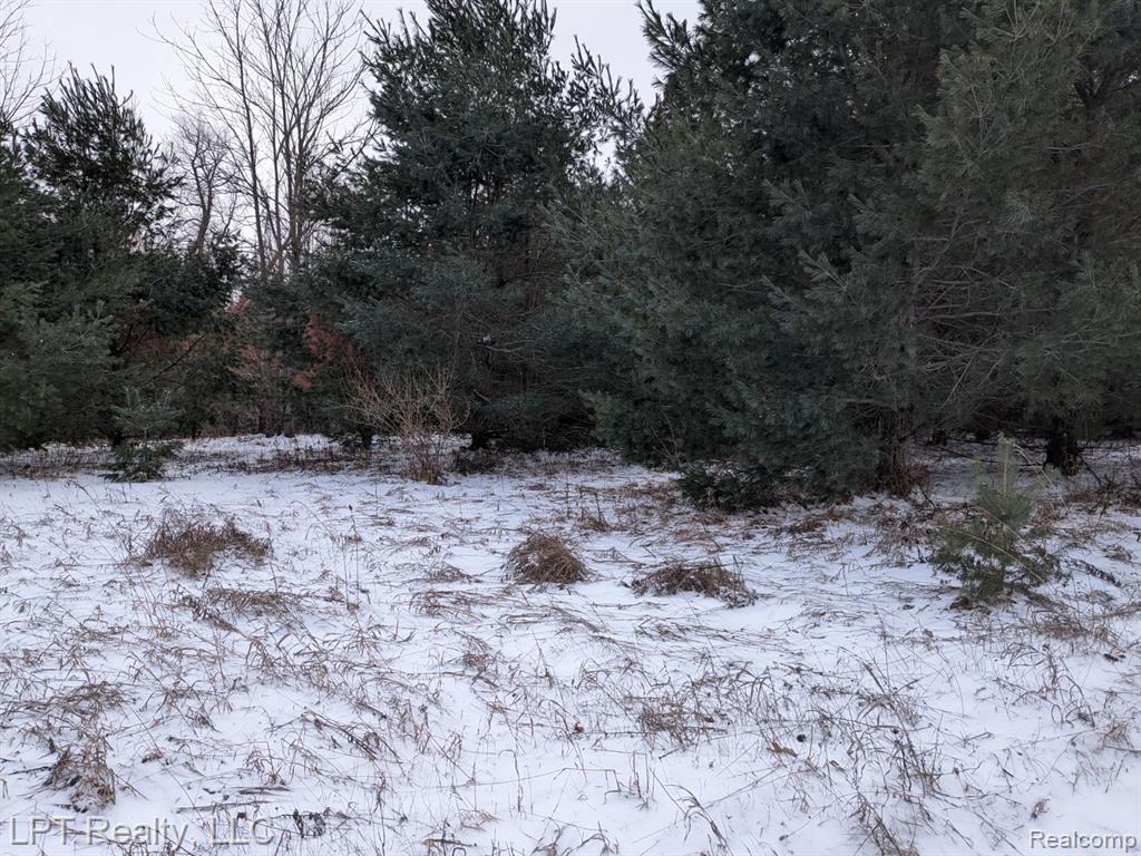 0 Woodmansee Road Cheboygan, MI 49721 - Photo 5 of 10