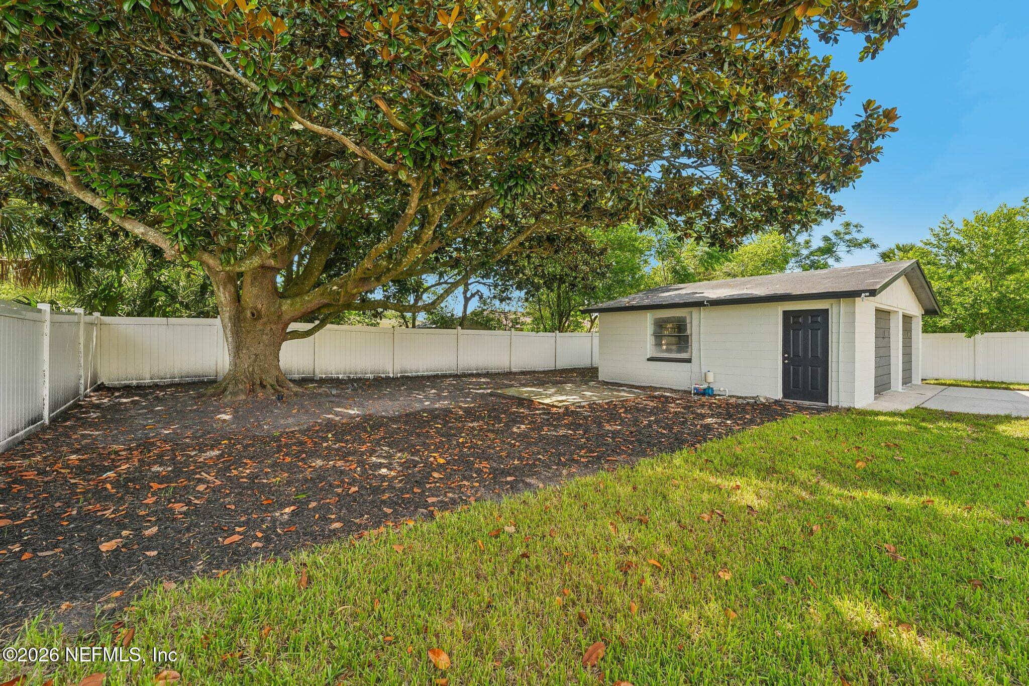 317 Penman Road Neptune Beach, FL 32266 - Photo 46 of 48 Magnolia Tree