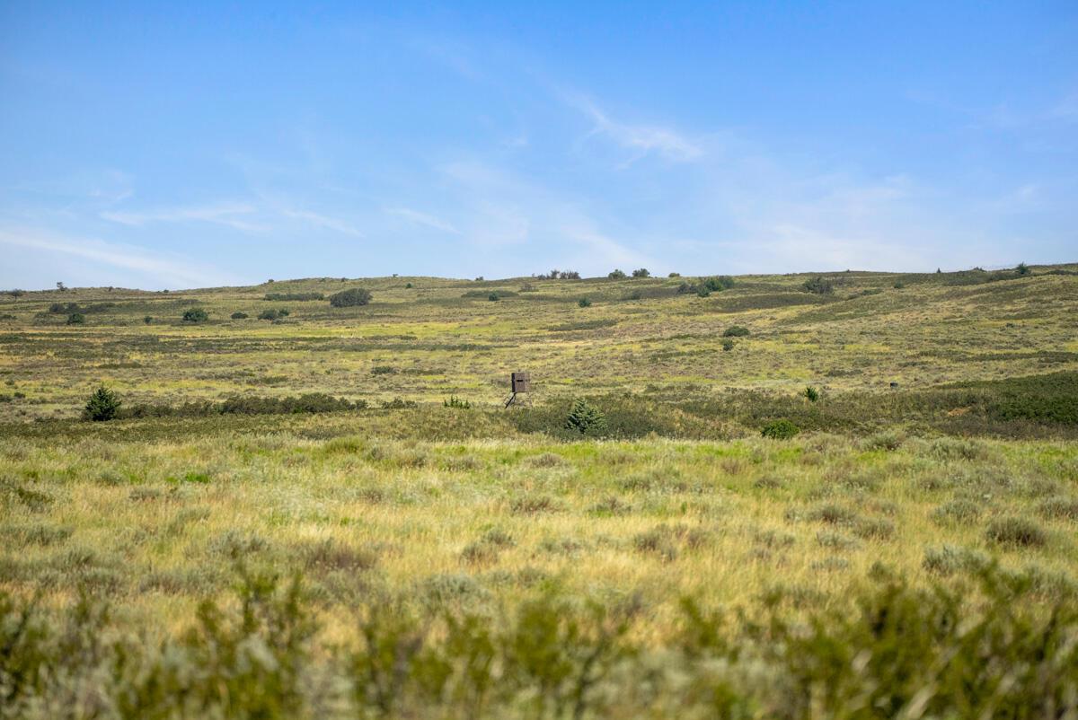 Bar T Ranch Shamrock, TX 79079 - Photo 13 of 18 Bar_T_Ranch-013_Land