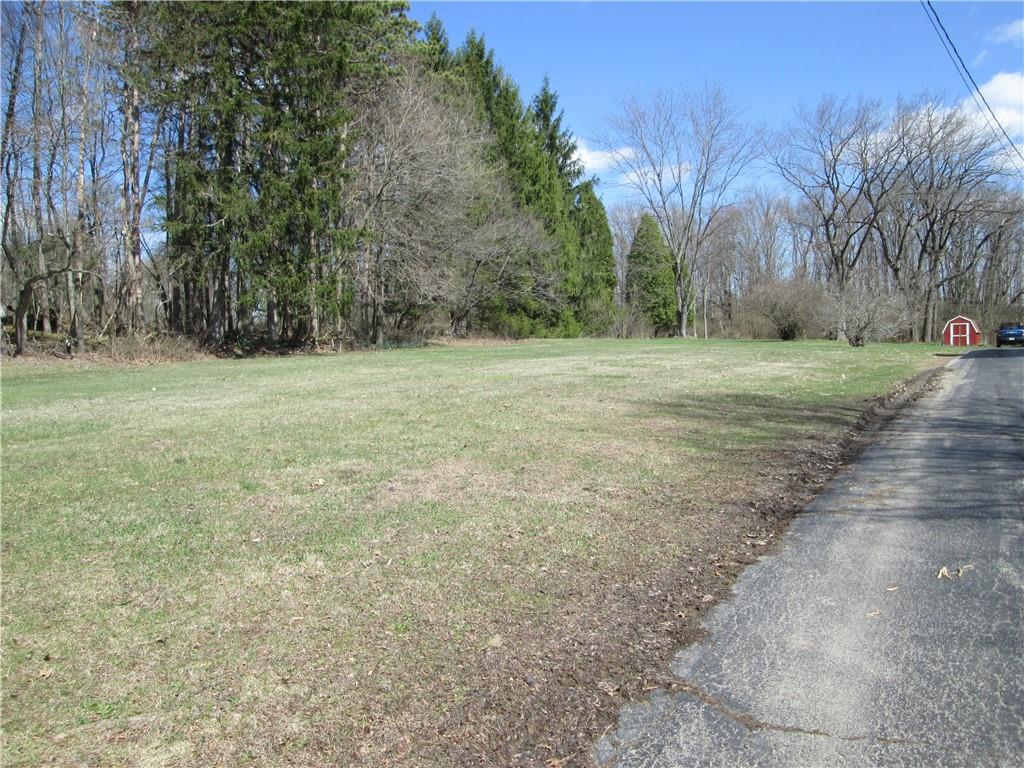 1+Acre Vacant Lot adjacent to home