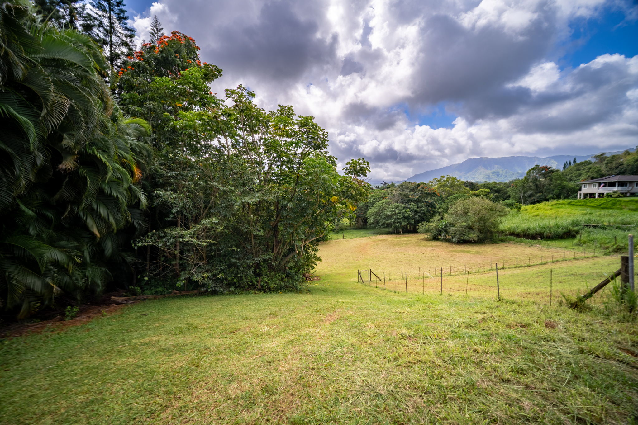 Puuopae Road Kapaa, HI 96746 - Photo 13 of 23