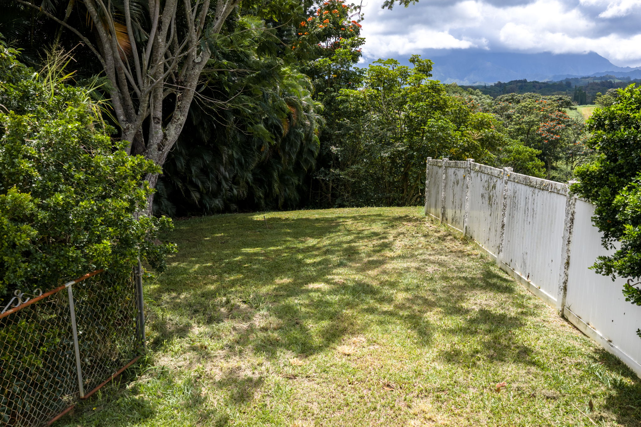 Puuopae Road Kapaa, HI 96746 - Photo 15 of 23