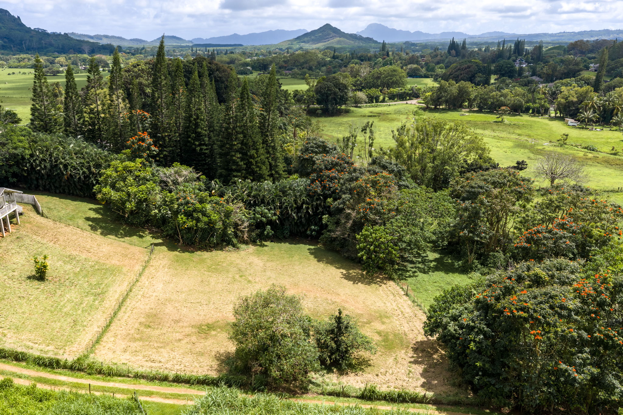 Puuopae Road Kapaa, HI 96746 - Photo 2 of 23