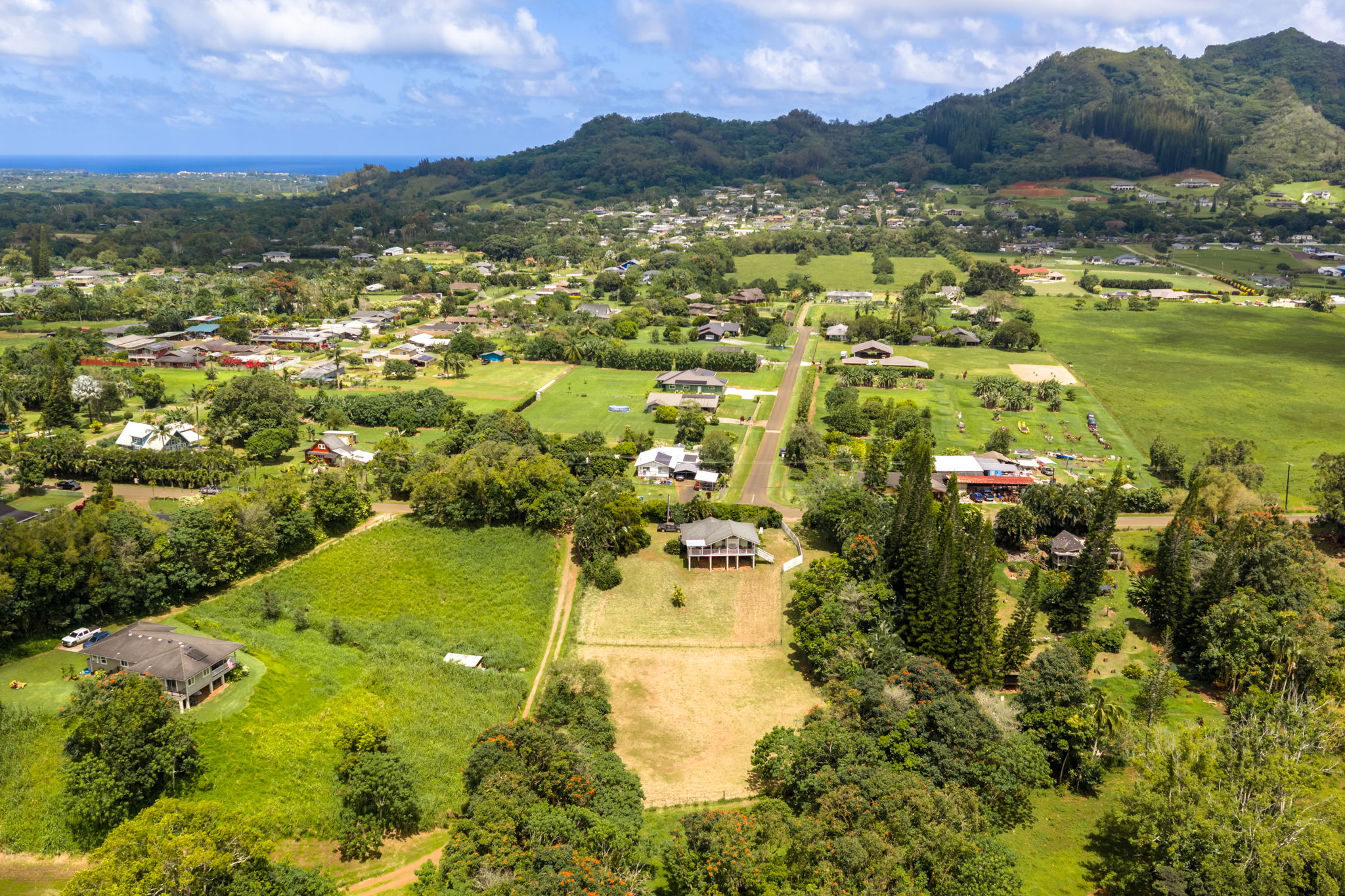 Puuopae Road Kapaa, HI 96746 - Photo 21 of 23