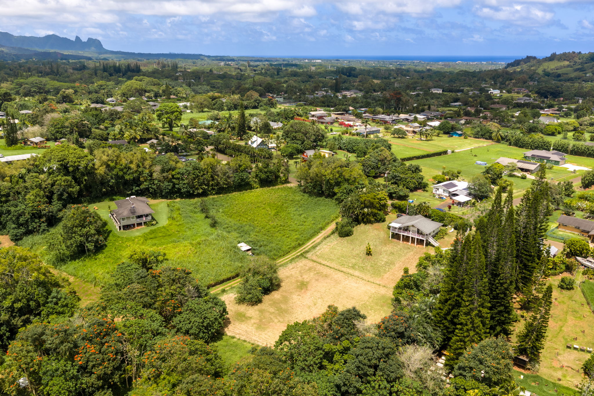 Puuopae Road Kapaa, HI 96746 - Photo 22 of 23