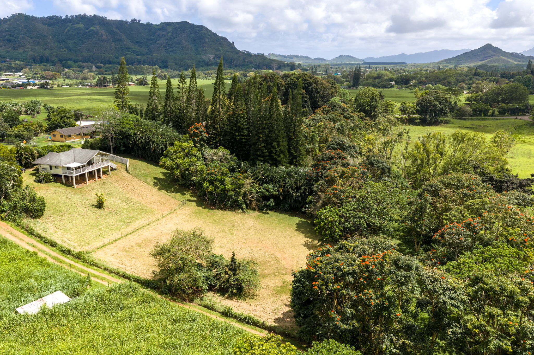Puuopae Road Kapaa, HI 96746 - Photo 3 of 23