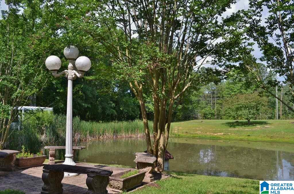 246 Dragline Road Leeds, AL 35094 - Photo 7 of 49