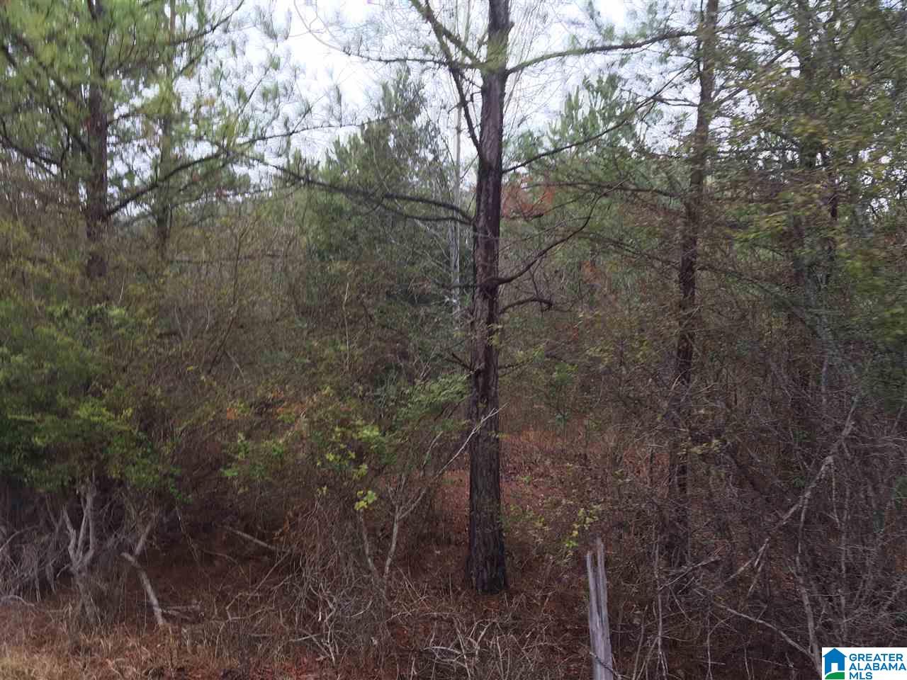 Old Choccolocco Road, Unit 97 Weaver, AL 36277 - Photo 25 of 27
