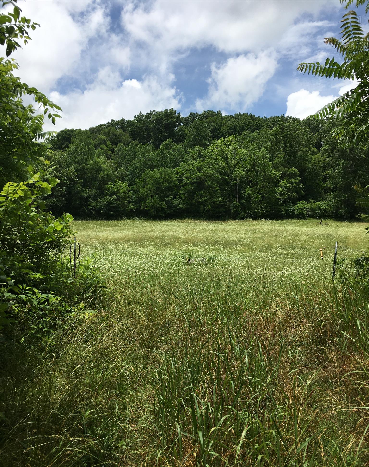 0 West Fork Road Summertown, TN 38483 - Photo 1 of 21 Gallery Image 1