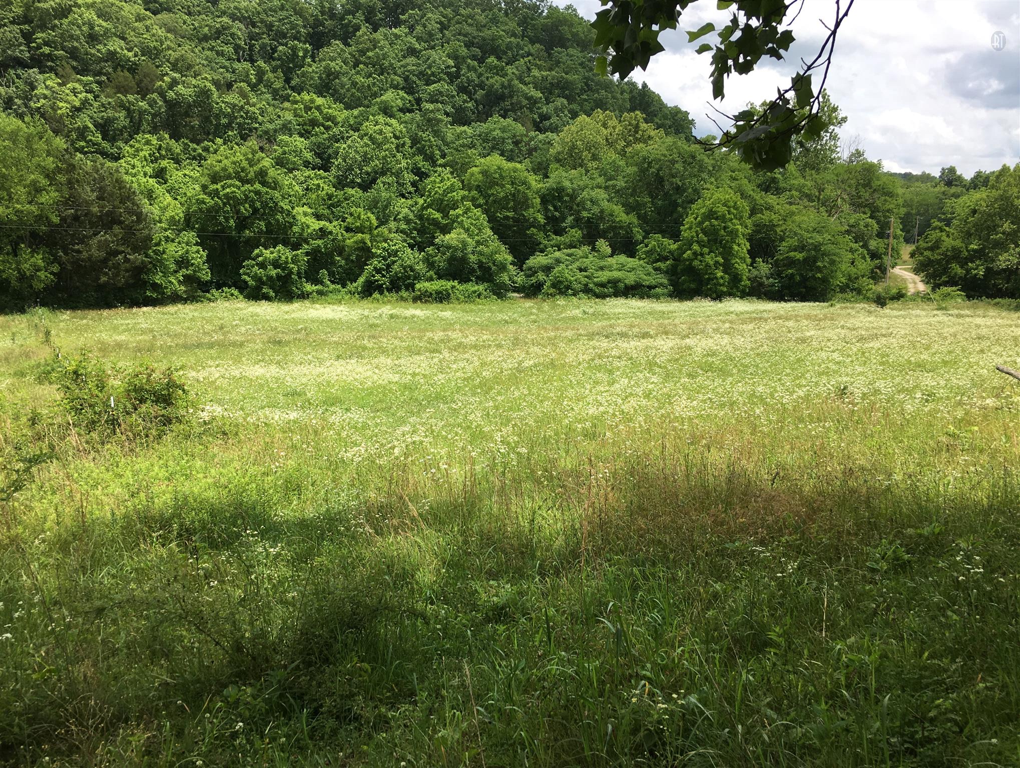 0 West Fork Road Summertown, TN 38483 - Photo 16 of 21 Gallery Image 16