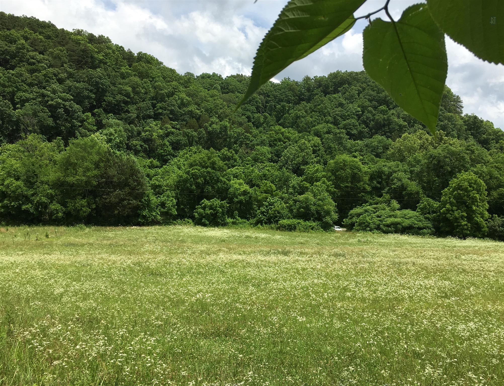 0 West Fork Road Summertown, TN 38483 - Photo 17 of 21 Gallery Image 17