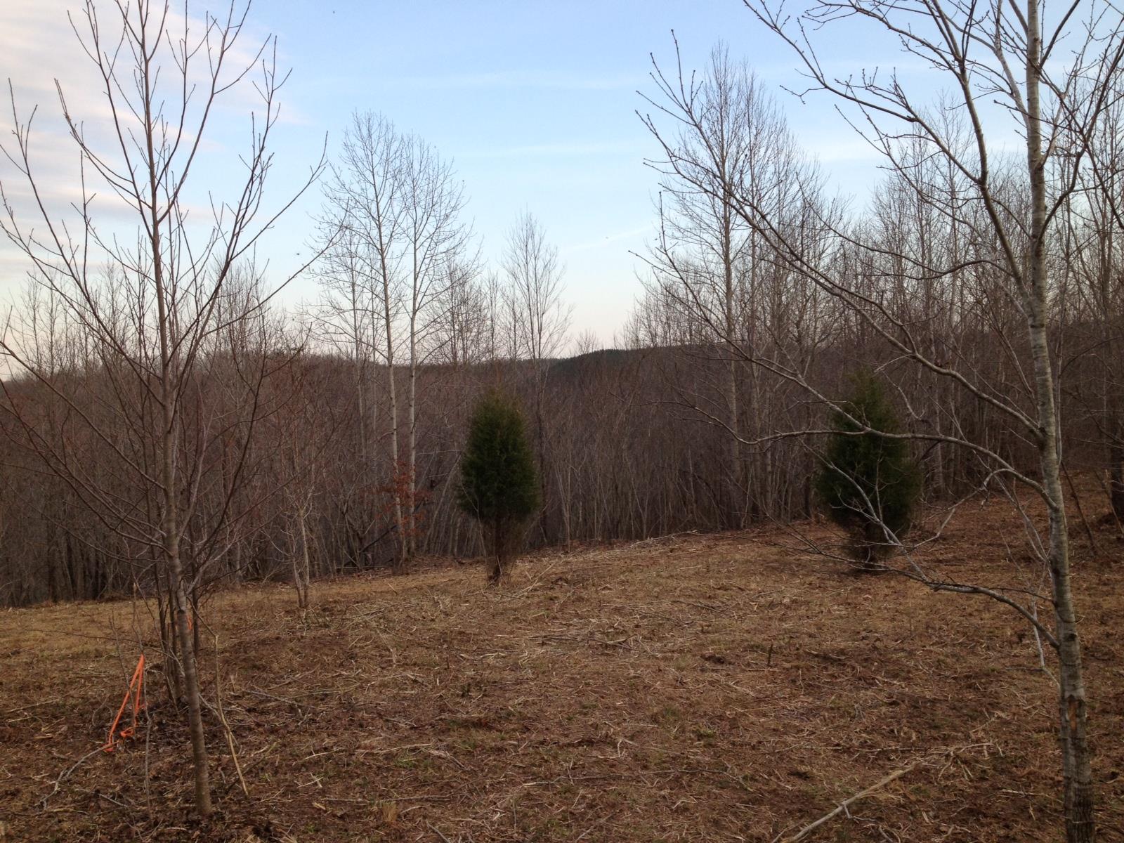 0 West Fork Road Summertown, TN 38483 - Photo 19 of 21 Gallery Image 19