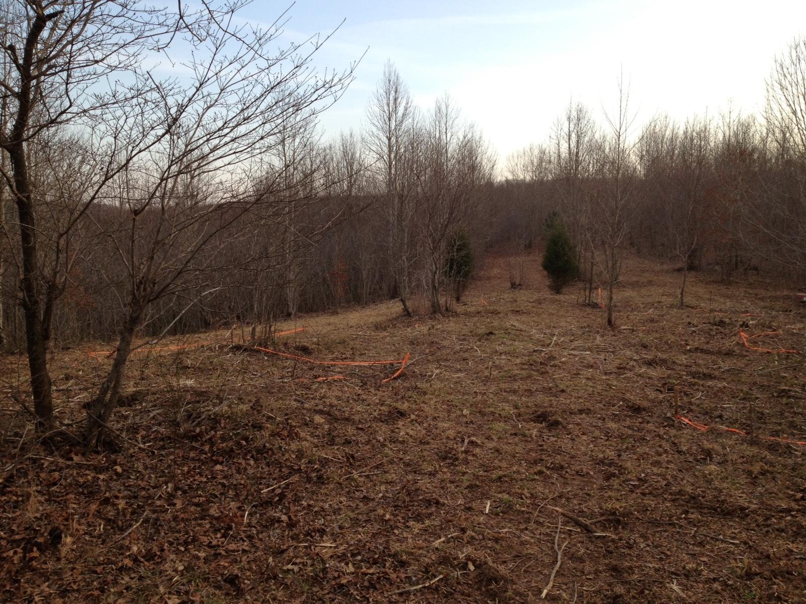 0 West Fork Road Summertown, TN 38483 - Photo 20 of 21 Gallery Image 20