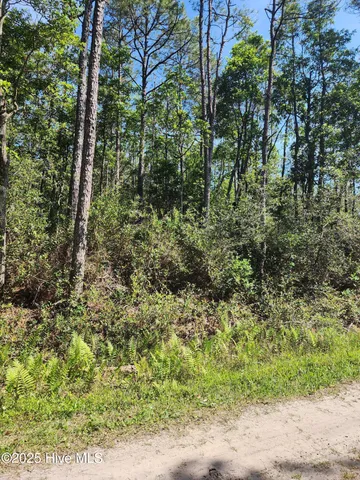 $22,000 | Lot 60 Drake Road, Southport, NC 28461