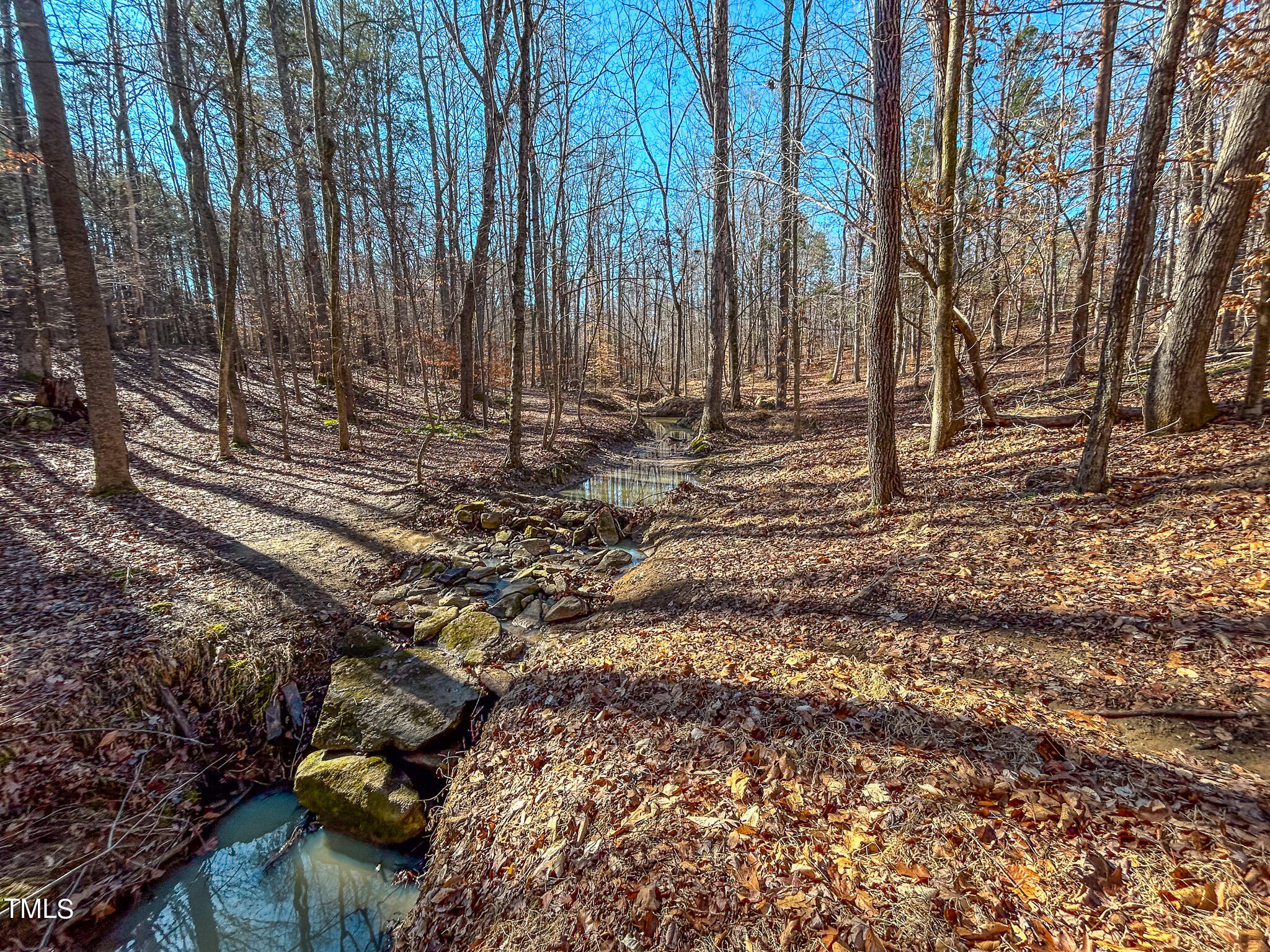 1704 Maurice Daniels Road Roxboro, NC 27574 - Photo 66 of 74 IMG_8278