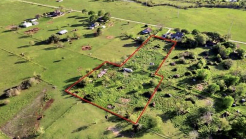 a view of a garden with an ocean