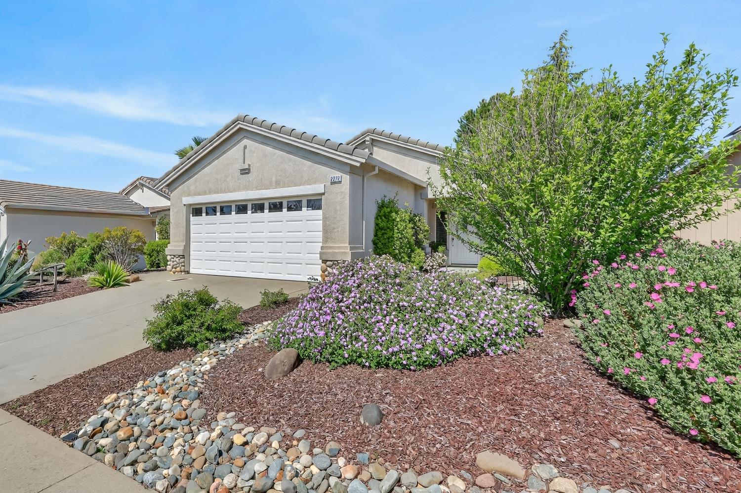 a view of a house with a small yard and a large tree