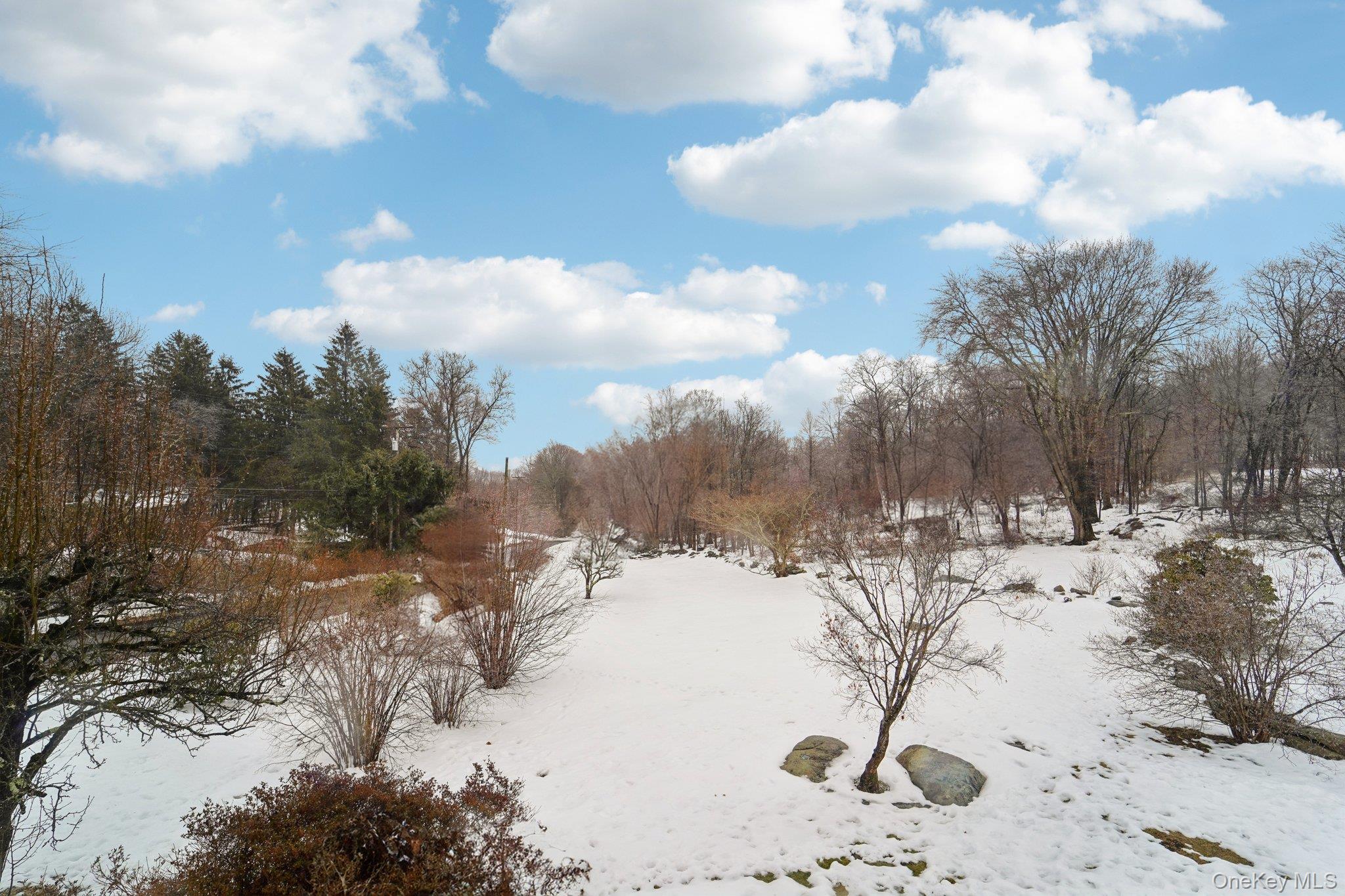 350 Barrett Hill Road Mahopac, NY 10541 - Photo 20 of 21 a view of a snow covered with snow
