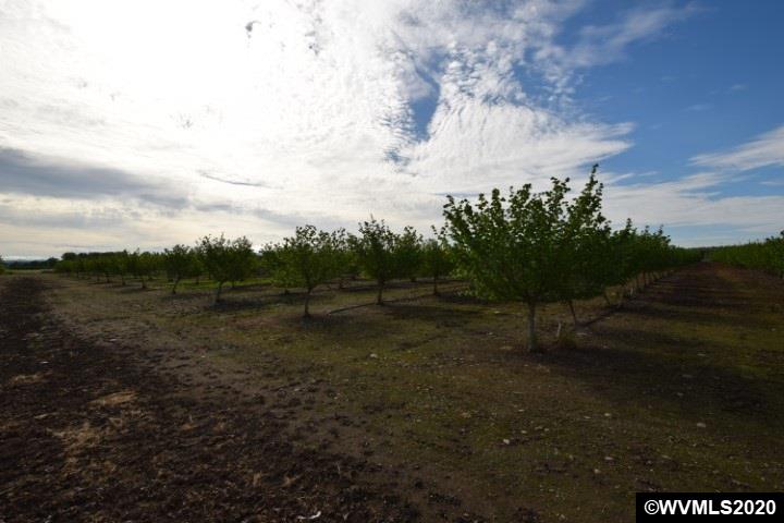 8568 Stayton (- 8588) Road Turner, OR 97392 - Photo 8 of 16 Gallery Image 8