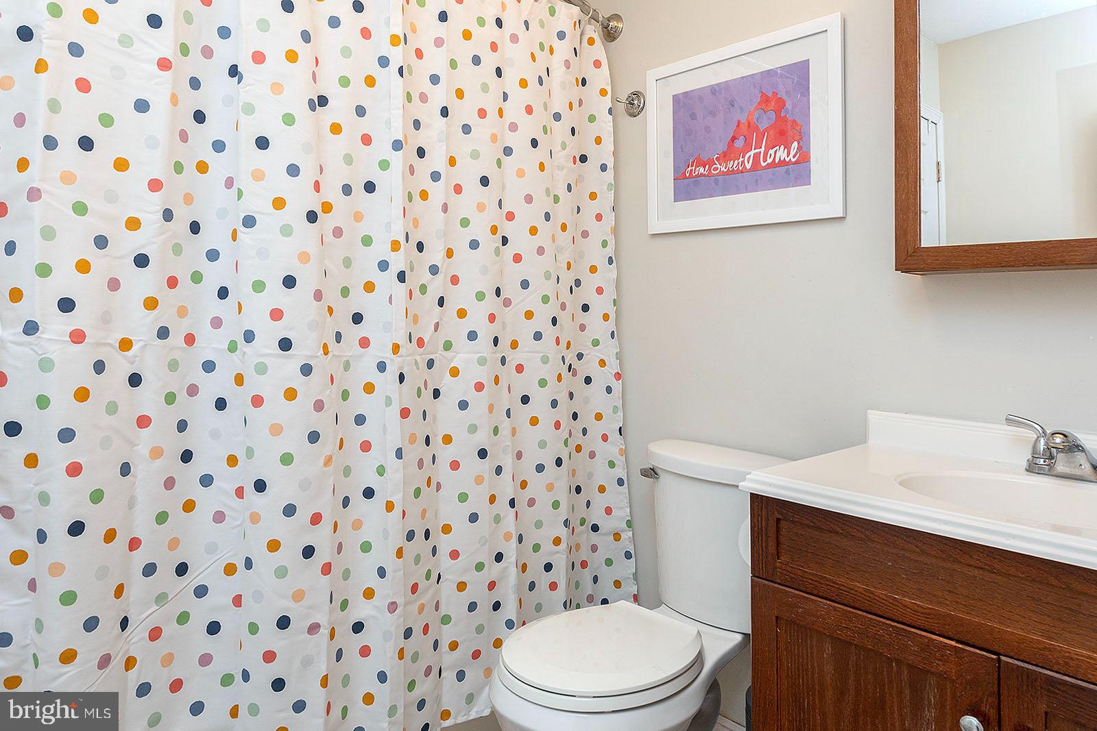 210 Greenbriar Circle Cross Junction, VA 22625 - Photo 28 of 45 Second full bath