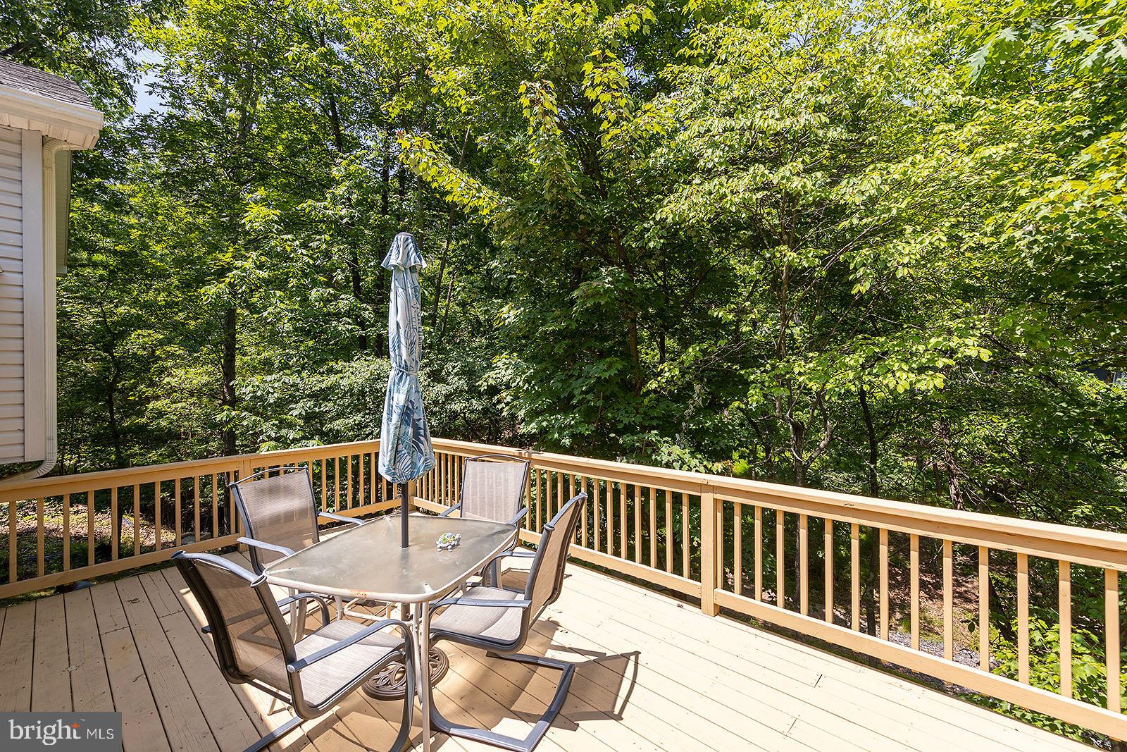 210 Greenbriar Circle Cross Junction, VA 22625 - Photo 3 of 45 Deck overlooking the private backyard
